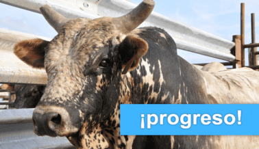 ¡Progreso! El Congreso de Michoacán acaba de prohibir las corridas de toros