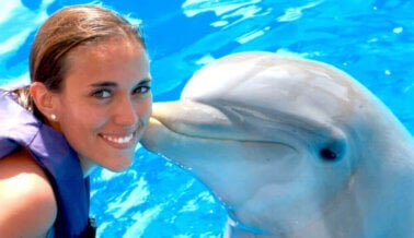 ¡Pídeles a estos resorts que dejen de ofrecer experiencias crueles con delfines!
