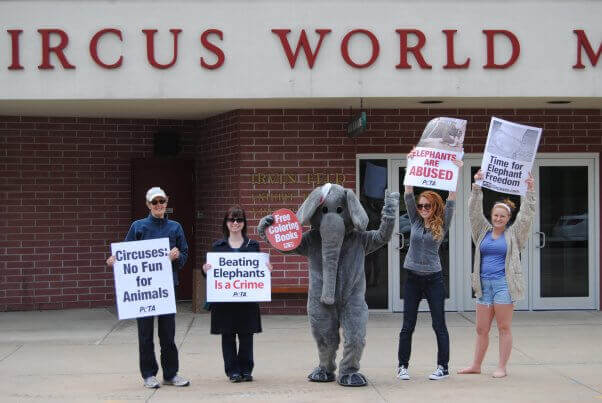 ent_demos_circuses_circus_world_museum_009-1-602x403