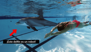 ¿Un Delfín Robótico Para Reemplazar a los Que Están en Cautiverio? Apunta SeaWorld