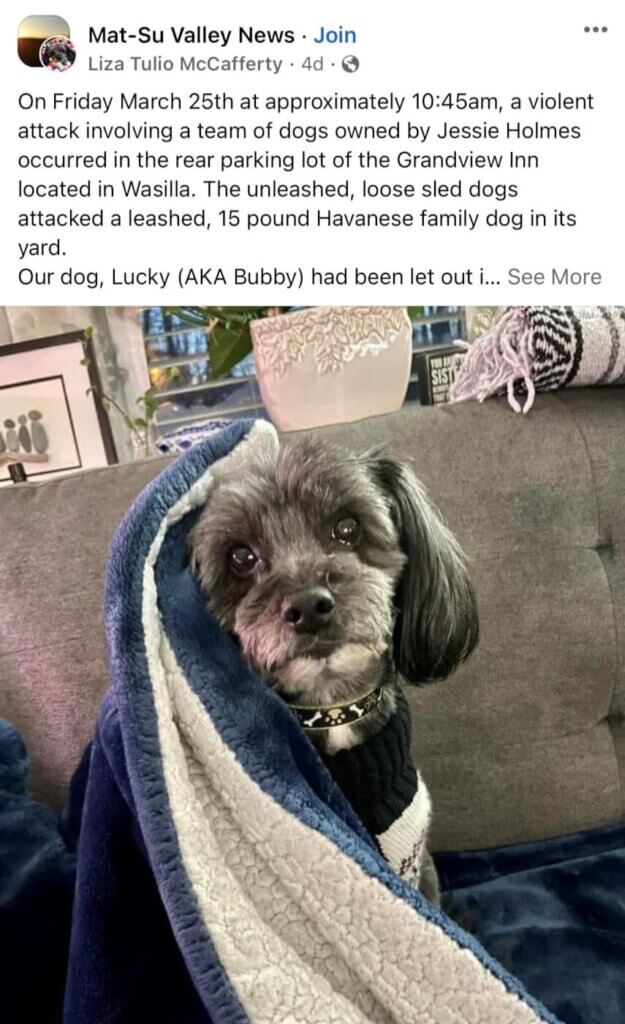 Lucky the dog killed Facebook Post
