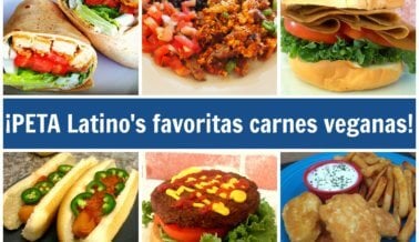 ¡Nuestras 12 carnes veganas favoritas!