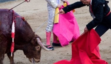 El torero Emiliano Gamero es grabado azotando a su caballo