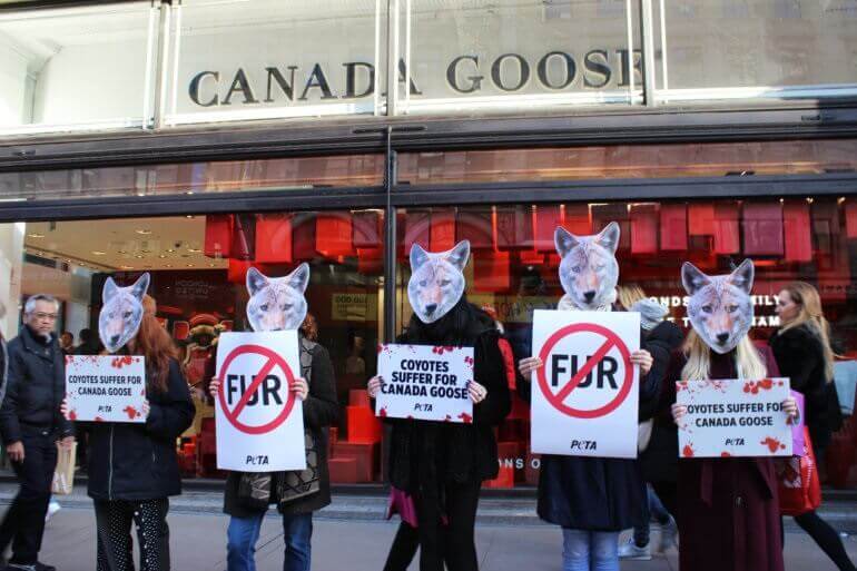 Canada Goose protest