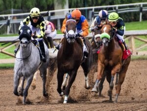 Racing horses