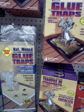 glue-traps-99-cent-store-277x370