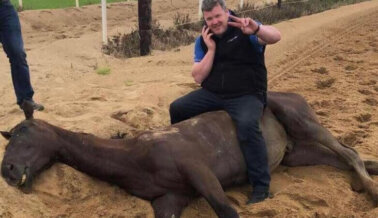 Gordon Elliott Sonríe Sentado Sobre el Cadáver de un Caballo: Esto Resume las Carreras de Caballos