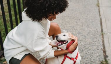 Entrenadores de Perros: Ventajas, Alertas y Quién Realmente Necesita ser Entrenado