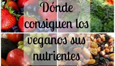 Dónde consiguen los veganos sus nutrientes