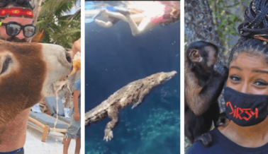 El Turismo en Tulum Repunta en Parte a Costa de los Animales