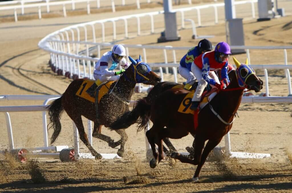 Horses in a race