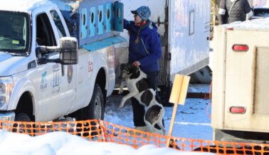 FOTOS: Así es Como Está Realmente Trascurriendo el Iditarod 2022