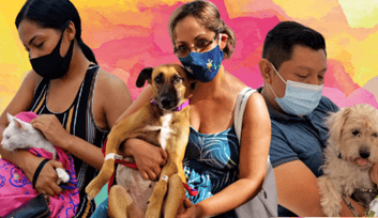 Sol, Arena y… ¡¿Esterilizaciones?! PETA Latino Regresa para Ayudar a Los Animales de Compañía de Cancún