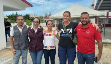El maratón de esterilización de PETA Latino en Cancún supera la meta de 200 cirugías