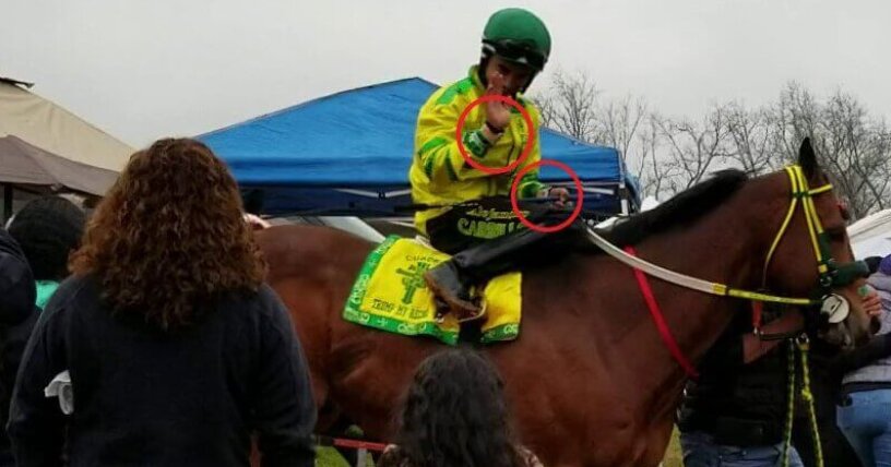 Caballos Muertos en Carreras Clandestinas; PETA Pide Investigación