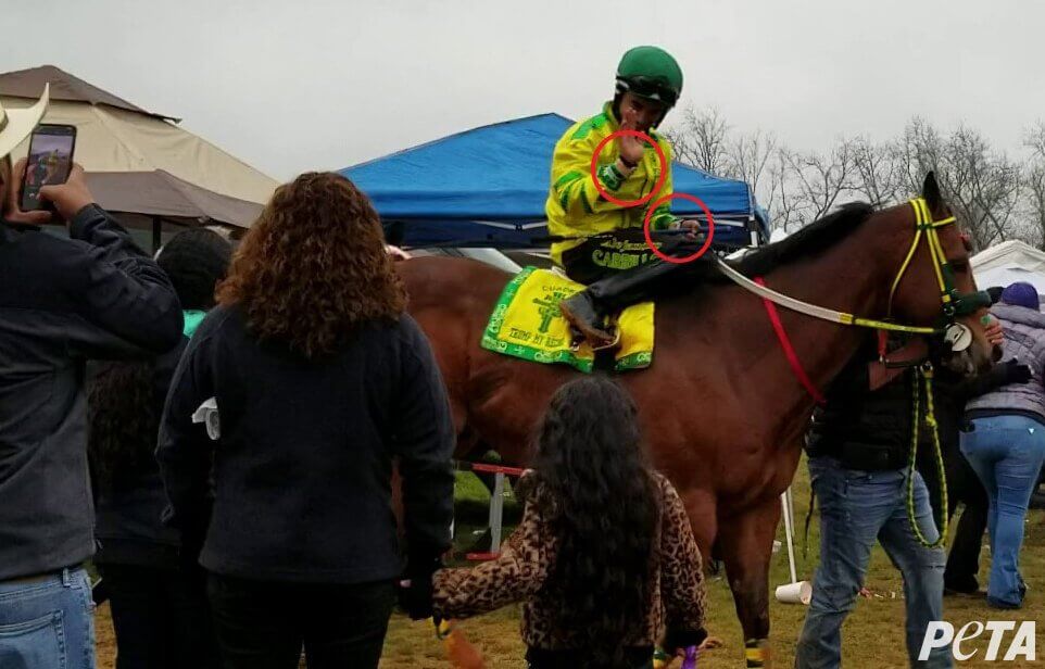 Jockey With Shock Device 