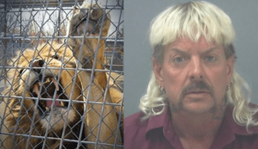 El Maltratador de Animales y Blanco de PETA, ‘Joe Exotic’, es Condenado a 22 Años de Prisión