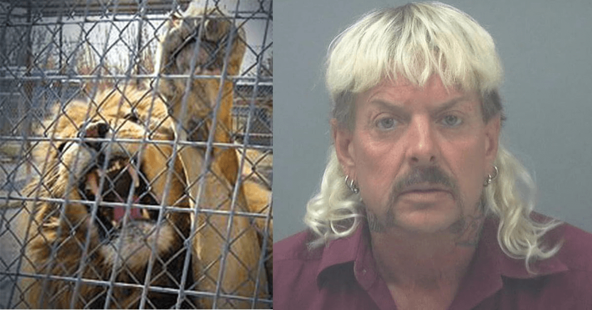 'Joe Exotic' es condenado a 22 Años tras las rejas PETA