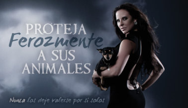Kate del Castillo: Proteja Ferozmente a Sus Animales