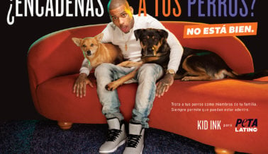 Kid Ink Alza la Voz Por Los Perros Encadenados