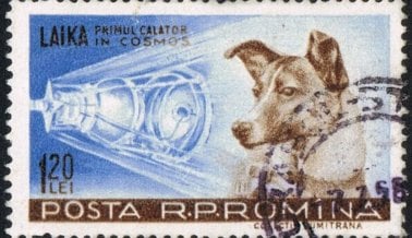Hace 60 años murió la perra Laika en el espacio a bordo del Sputnik 2