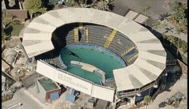 Por Qué Las Familias Latinas No Deben Visitar Miami Seaquarium