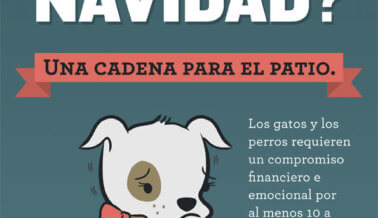 ¿Qué me dieron esta Navidad?