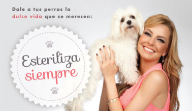 Marjorie de Sousa: ¡Siempre Esteriliza!