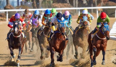 Los Caballos Siguen Muriendo, PETA Pide un Alto a las Carreras en Todo el País