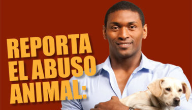 Metta World Peace: Siempre Reporta el Abuso Animal
