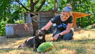 Llegaron las Olas de Calor y También los Trabajadores de Campo del Proyecto Animales de la Comunidad de PETA