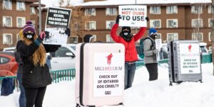 Demostacion de PETA contra Iditarod