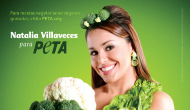 Natalia Villaveces: “¡Qué el Vegetarianismo Fluya de ti!”