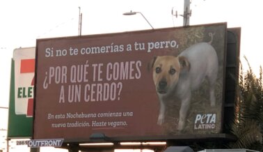 Cartel de PETA Latino a Favor de los Cerdos Promueve una Nochebuena Vegana
