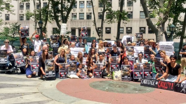 A crown of dozens of animal rights activists stand in a group for a photo in front of trees and a building, holding signs about various animal rights issues