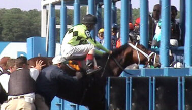 Carreras de Caballos Expuestas: Fármacos, Engaño y Muerte