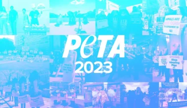 Las mejores fotos de protestas de PETA del 2023