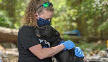 Los Trabajadores ‘Esenciales’ de PETA Siguen Trabajando