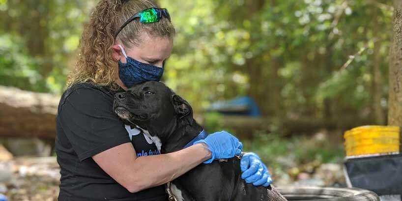 PETA fieldworker and dog