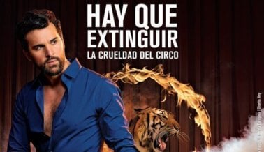 Juan Pablo Di Pace: Hay Que Extinguir la Crueldad Del Circo