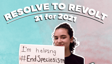 ¿21 Acciones por los Animales los Primeros 21 Días del Año? Estudiantes Activistas lo Hicieron ¿21 Acciones por los Animales los Primeros 21 Días del Año? Estudiantes Activistas lo Hicieron
