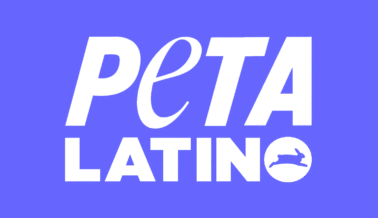 PETA Latino rinde homenaje a Elena Larrea, aliada de los animales, en monumento Árbol de la Vida