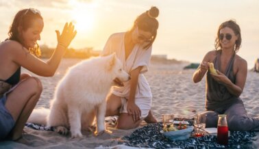 Celebra a los Animales este Verano en estas Ciudades de Playa Atractivas para Veganos