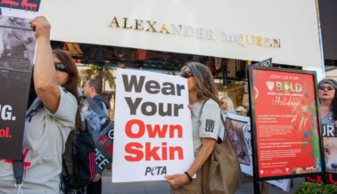 ¡Victoria! Saint Laurent y Brioni Dejan de Vender Pieles: Kering Ahora es Fur-Free