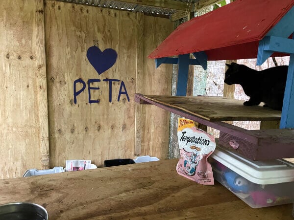 PETA Team in Puerto Rico 