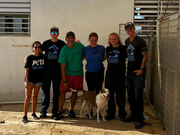 PETA Team in Puerto Rico 