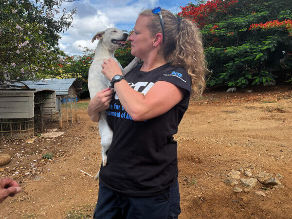 PETA Team in Puerto Rico 