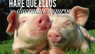 La Biblia y el movimiento de los derechos de los animales