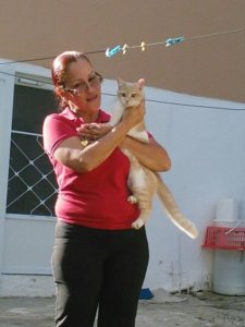 rescate-gato-en-patillas