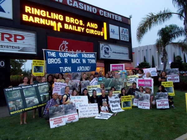 ringling protest
